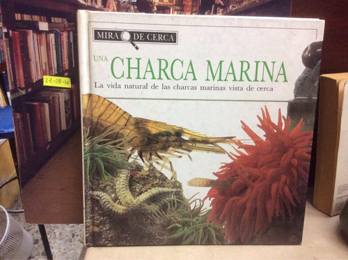 Charca Marina. Biología Fotografía