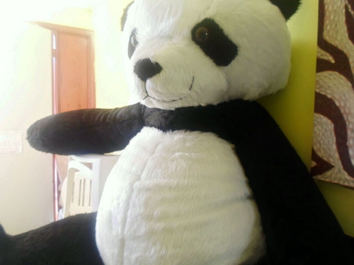 Oso Panda Gigante De Peluche 2 Mts + Envio Gratis+regalo