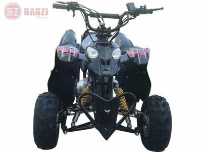 Quadriciclo À Gasolina Infantil 110cc Barzi Motors Moskiti