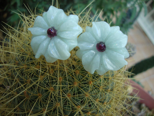 Aretes En Jade Verde Ligero Flores