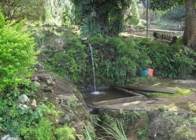 Imagem 6 de 15 de Sitio Em Ibiúna | 9626 - 9626