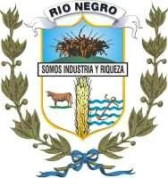 Escudo Departamento De Rio Negro - Uruguay - Lámina 45x30 Cm