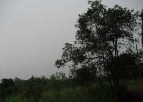 Imagem 4 de 14 de Terreno | 6382 - 6382
