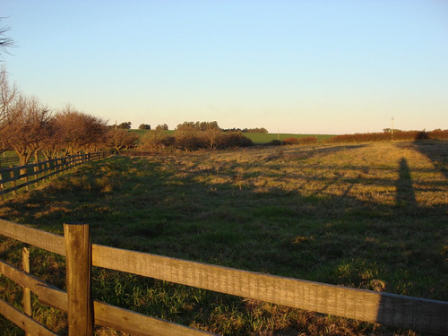 Campo 1ha-1,5ha,lago,vistas,cerca Pza Toros Colonia Dde65mil