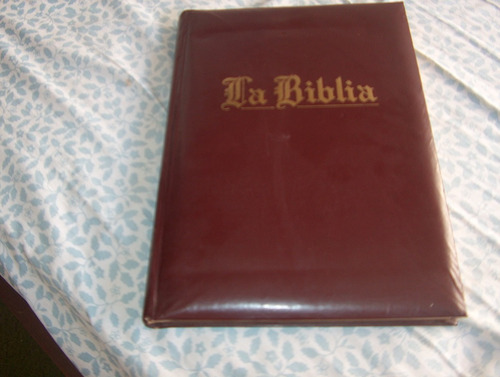La Biblia Antiguo Testamento Narraciones Ilustradas