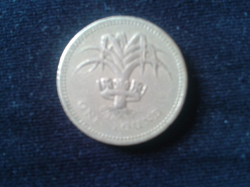 Moneda  Gran Bretaña  1992, Una Libra (one Pound) A 02