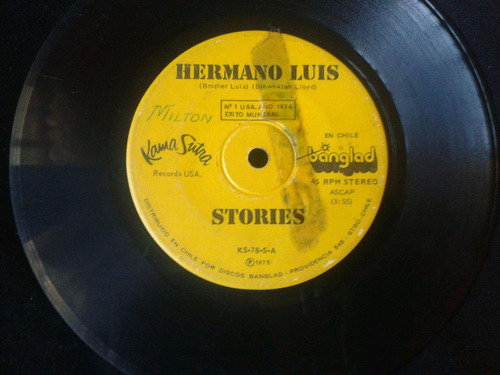 Single Stories Hermano Luis Querida