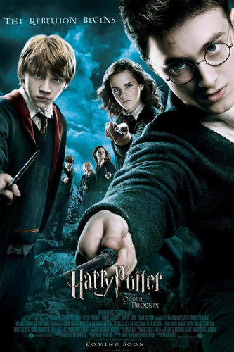 Poster De Lona Vinilica - Harry Potter Y La Orden Del Fenix