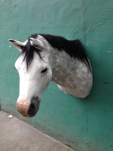 Animales Disecados 100% Artificiales Caballo