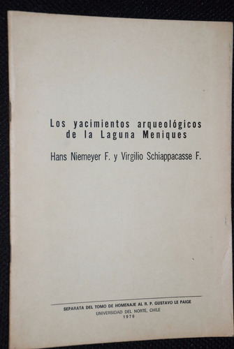 Arqueologia Atacama Laguna Meniques Yacimiento Niemeyer