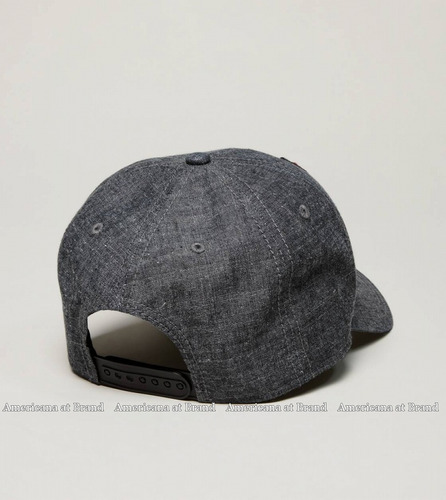 Gorra American Eagle Color Gris Chambray Super Padre Mmn