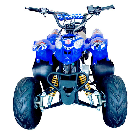 Quadriciclo À Gasolina Infantil 110cc Barzi Motors Moskiti