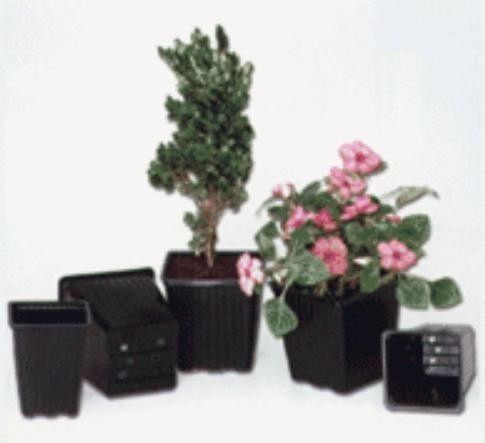 Maceta Cuadrada 300cc Liviana Cultivo Huerta X 50 Unidades