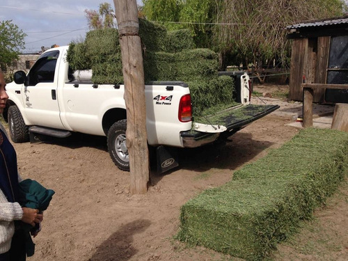 Fardos De Alfalfa De Primera Por Mayor Y Menor