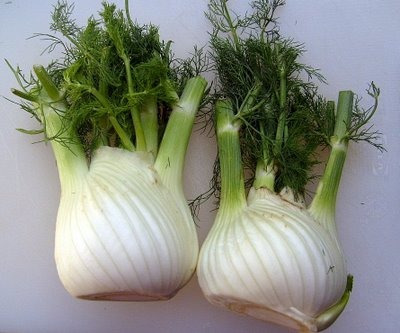 100 Gr. Semillas De Foeniculum Vulgare - Hinojo Codigo 208