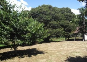Imagem 6 de 15 de Chácara Em Condomínio | 8034 - 8034