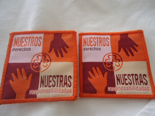 Insignias Guias Scouts Antiguas De Eventos