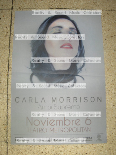 Carla Morrison Poster Metropolitan 2015 De Coleccion (Usado)