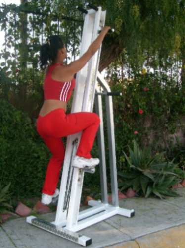 Escaladora Vertical Con Llantas