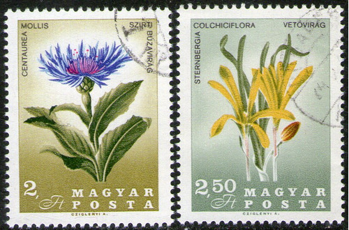 Hungría 2 Sellos Usados Flores = Botánico Kitaibel Año 1967 