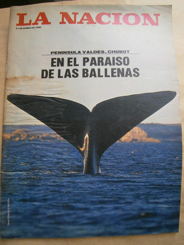 La Nación Revista - Año 1990 -  El Paraíso De Las Ballenas!