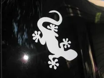Comprar Stickers  Salamandra Guecko Autos Camionetas Motos Mde