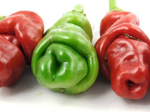 Imagem 1 de 6 de Sementes De Pimenta Penis - Peter Pepper Chili Capsicum