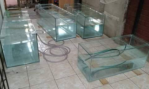 Fabricacion De Acuarios 40x20x30 En 5mm.