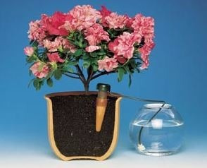 Irrigação - Irrigador Vaso Automático G-não Usa Eletricidade