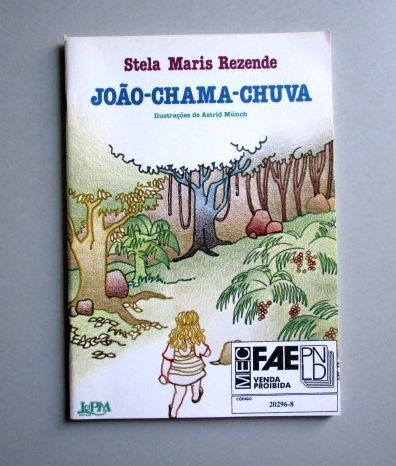 João-chama-chuva - Stela Maris Rezende