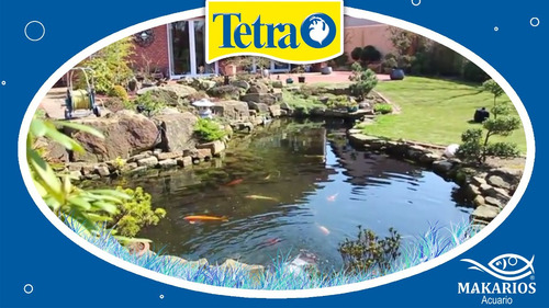 Imagen 4 de 7 de Tetra Pond Floating Sticks 100 Gr Alimento Peces Agua Fría