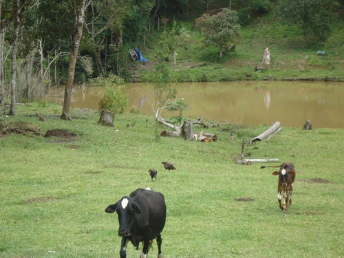 Imagem 7 de 15 de Sitio No Bairro Vargem Do Salto | 47733 - 47733