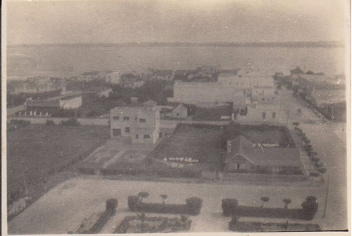 1950 Fotografia Panorama Punta Del Este Tomada Desde Faro