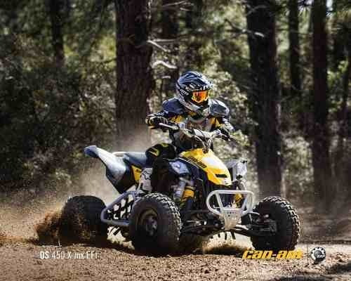 Can Am Ds 450 X Mx 0km Automoto Lanus