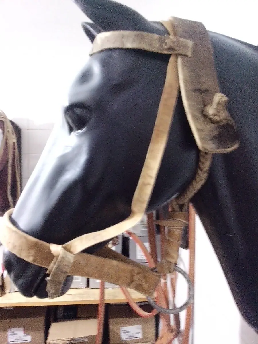 Bozal Para Palenquear Cuero Potro Caballo Talab Virtual - Imagen 6