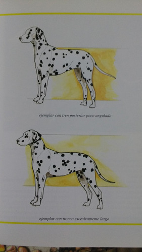 Manual El Dalmata. Perros De Raza