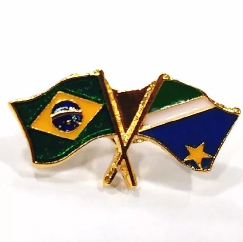 Pim Bótom Broche Bandeira Estado Do Mato Grosso Sul Folheado