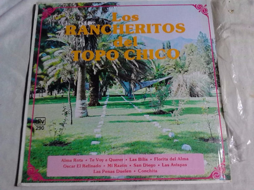 Los Rancheritos Del Topo Chico - Alma Rota (disco Lp)