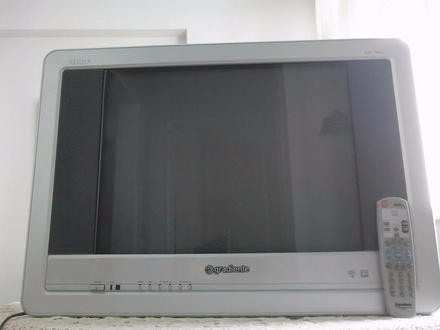 Televisão