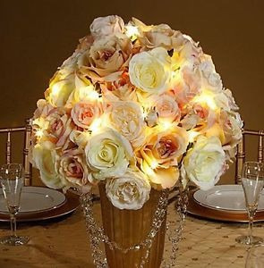Imagen 8 de 10 de Luz Led Calida 3mts Incluye Pila Navideña Casamiento Fiestas