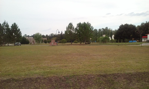 El Cardal