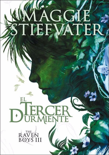 Coleccion The Raven Boys De Maggie Stiefvater