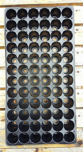 Imagen 3 de 6 de Bandeja De Siembra 72 Celdas 72 Cavidades Plugs Huerta