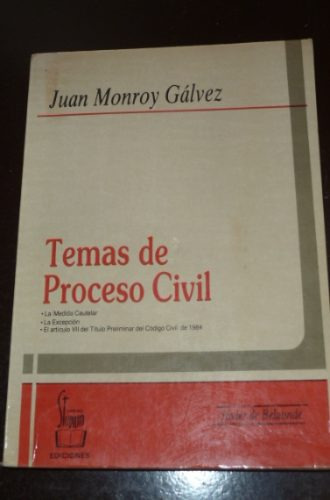 Temas De Proceso Civil