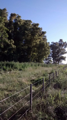 40 Hectáreas Mixtas En San Miguel Del Monte