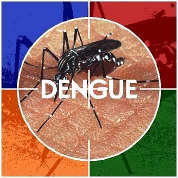 10.000 Sementes Crotalária Combate Dengue Repelente Natural