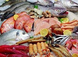 Inicia Negocio Con Exportacion De Pescado Y Mariscos