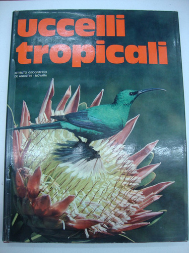 Uccelli Tropicali - John Burton - Libro De Aves En Italiano