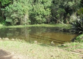Imagem 5 de 15 de Sitio Em Ibiúna | 9626 - 9626