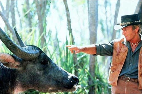 Dvd Cocodrilo Dundee ( Crocodile Dundee ) - Peter Faiman